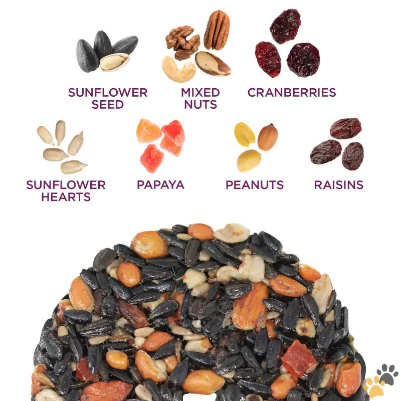 Audubon Park Berry Snack Stack - Single - Nut & Berry Snack Stack Wild Bird Food Dry 1 Count Per Pack 7.5 Oz.