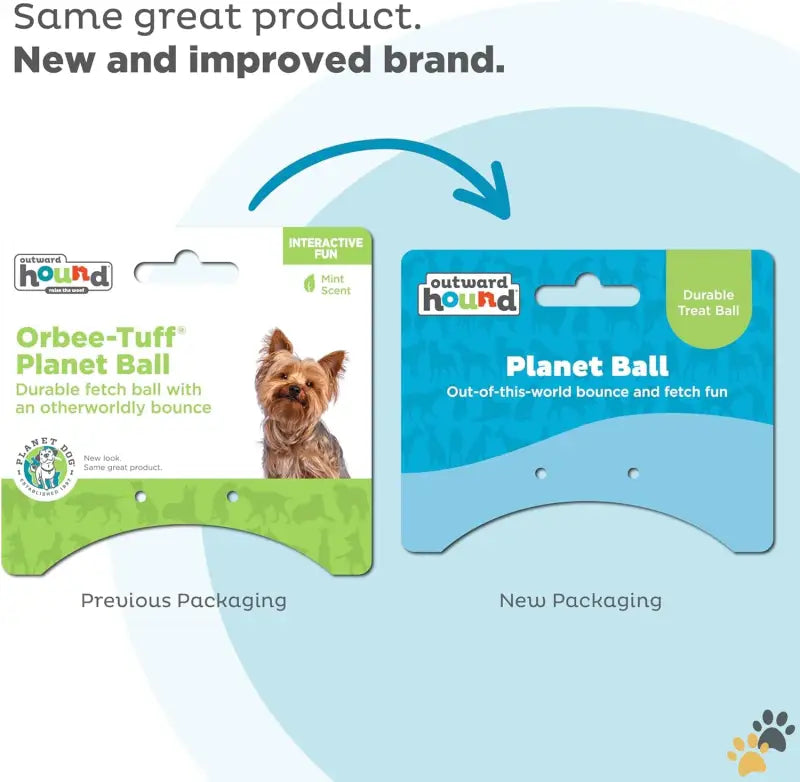 Planet Ball Dog Toy - Planet Earth / Small (pack of 1) - Outward Hound by Orbee-tuff Planet Ball Blue/green