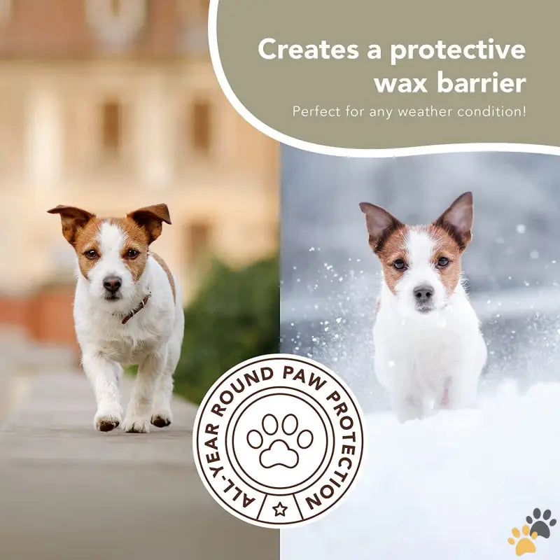 Pawtection Balm Winter Paw Protection - 0.15 Oz Stick - Pawtection Balm for Dogs (0.15oz Stick) All-natural Lick-safe