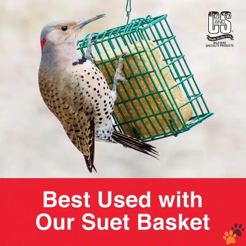 Peanut Delight Wild Bird Suet - Peanut Delight 0.73 Lbs. Wild Bird Suet