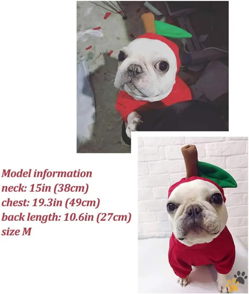 Apple Christmas Dog Costume Size m Chest - l - Pet Costume Christmas Dog Hoodie for Pitbull Halloween Fruit Cosplay