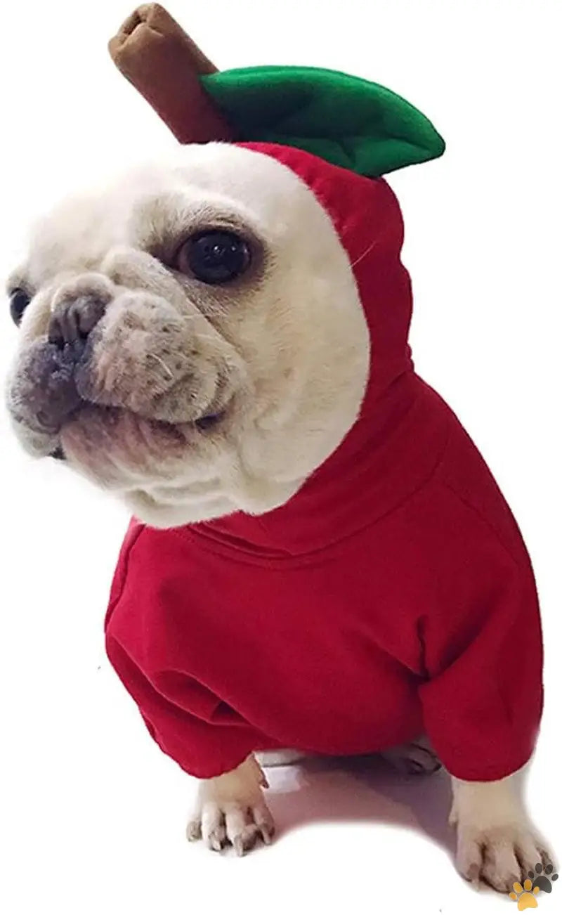 Apple Christmas Dog Costume Size m Chest - l - Pet Costume Christmas Dog Hoodie for Pitbull Halloween Fruit Cosplay