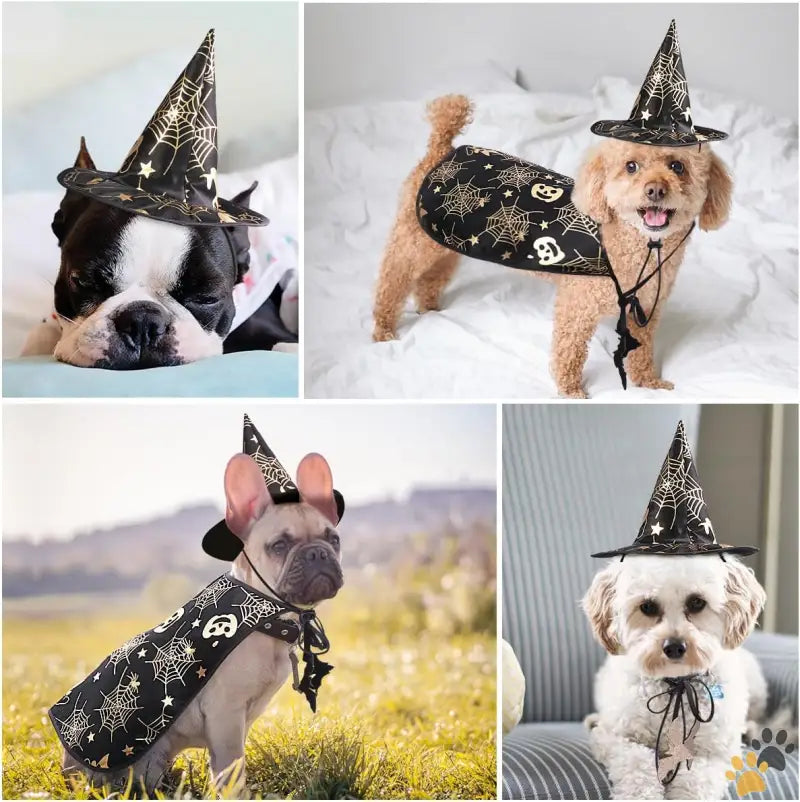 Pet Halloween Costume Wizard Hat Set - s - Pet Halloween Costumes Cape with Wizard Hat Dog Cat Halloween Apparels (size