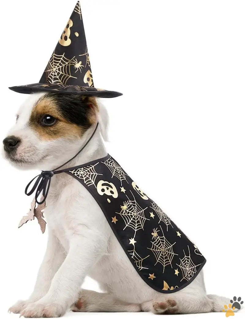 Pet Halloween Costume Wizard Hat Set - s - Pet Halloween Costumes Cape with Wizard Hat Dog Cat Halloween Apparels (size