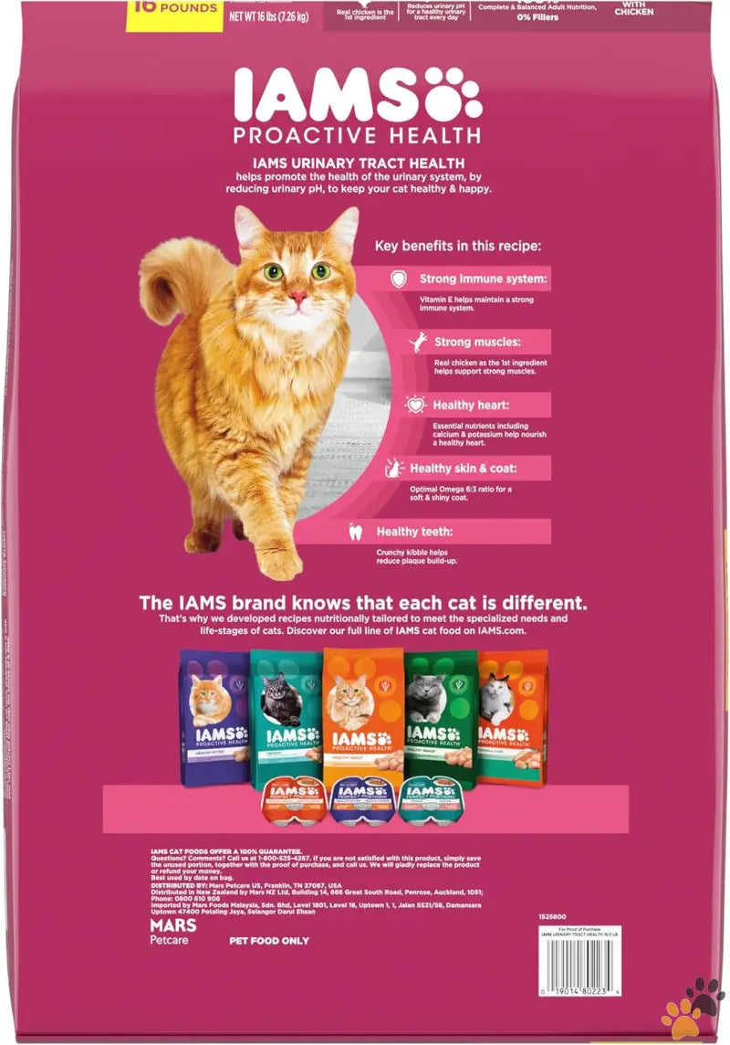 Wholesome Dry Cat Food - Chicken / 16 Pound (pack of 1) - Proactive Health Adult Urinary Tract Healthy Dry Cat Food