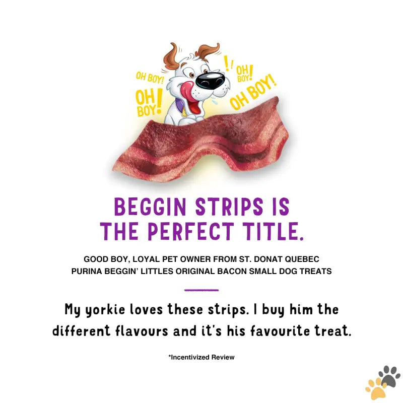 Purina Beggin Fun Size Dog Treats - Purina Strips Small Dog Treats Fun Size Original with Bacon Flavor Tender Chews 6