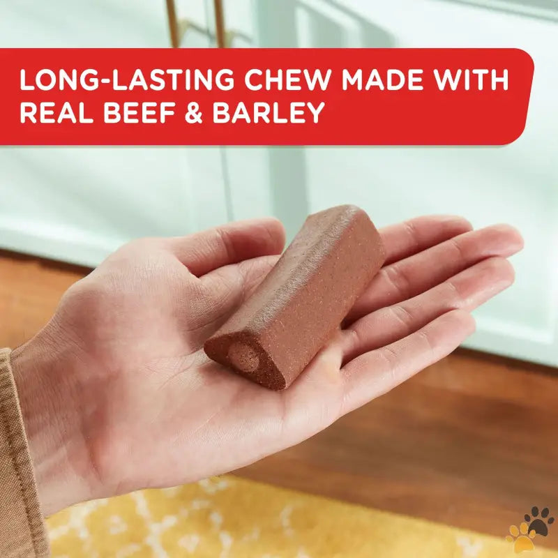 Rachael Ray Real Beef Dog Chews - Rachael Ray Soup Bones with Real Beef & Barley 11 Dry Dog Chews