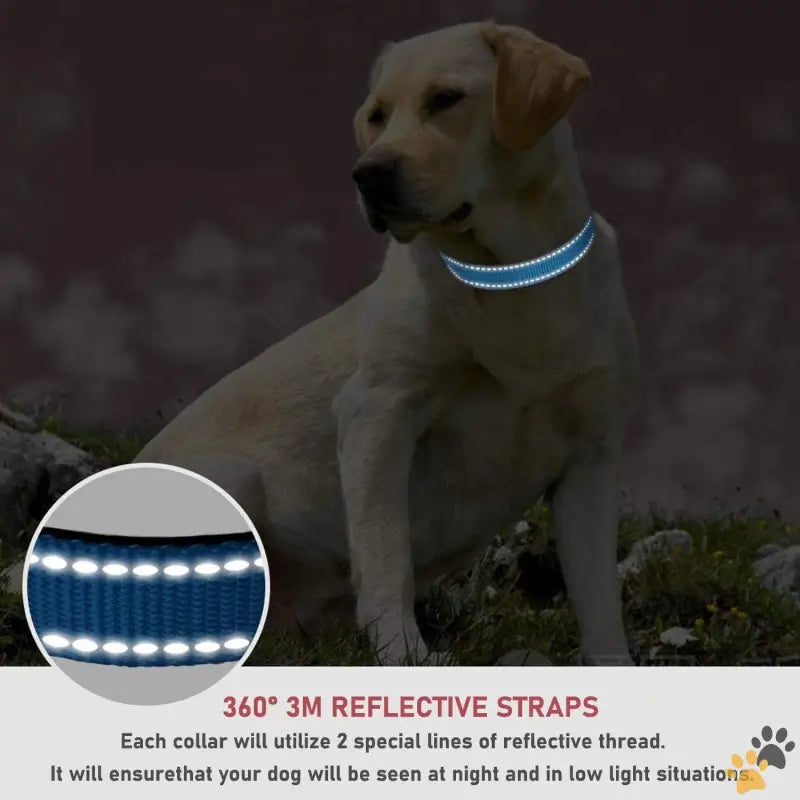 Durable Dog Collar Reflective Buckle - Sky Blue / Xlarge:width 1’’,neck 16-26’’