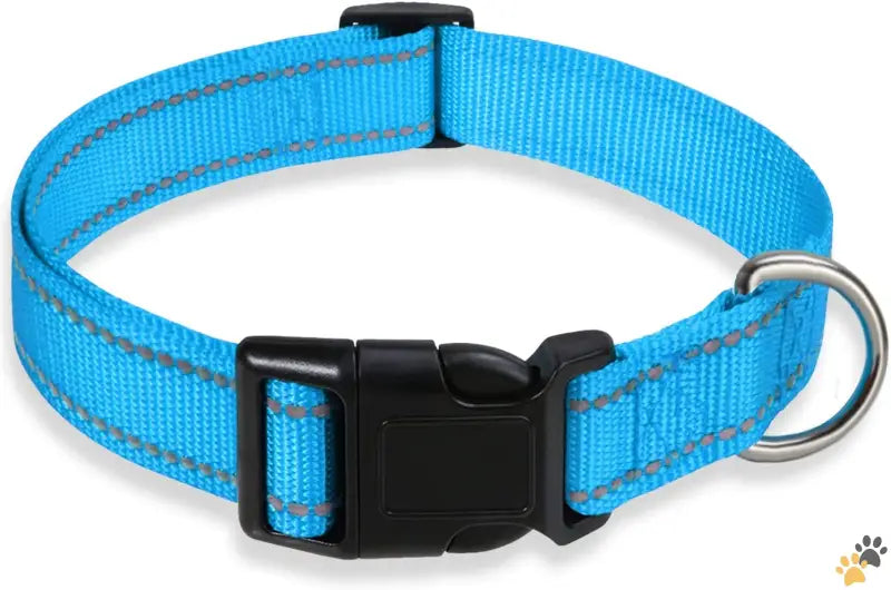 Durable Dog Collar Reflective Buckle - Sky Blue / Xlarge:width 1’’,neck 16-26’’