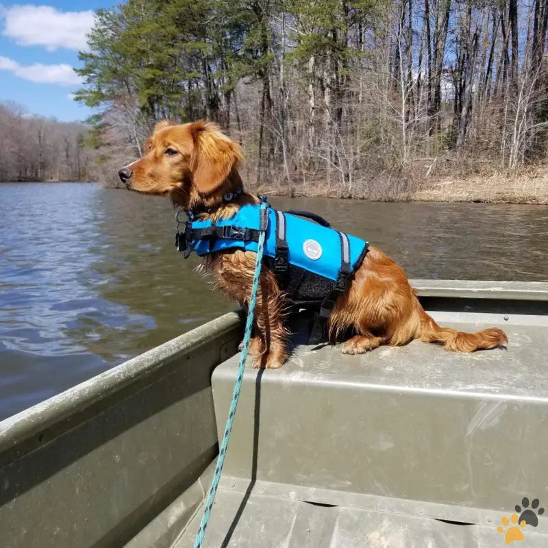 Vivaglory Dog Life Jacket - Blue / M: 21-25 Inch (ribcage Girth) - Ripstop Dog Life Jacket for Small Medium Large Dogs