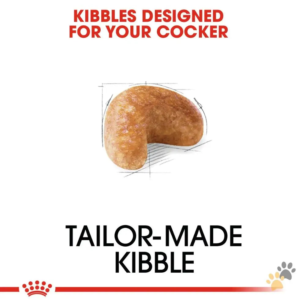 Royal Canin Breed Health Nutrition Cocker Adult Dry Dog Food - 3 Kg - Dog Food