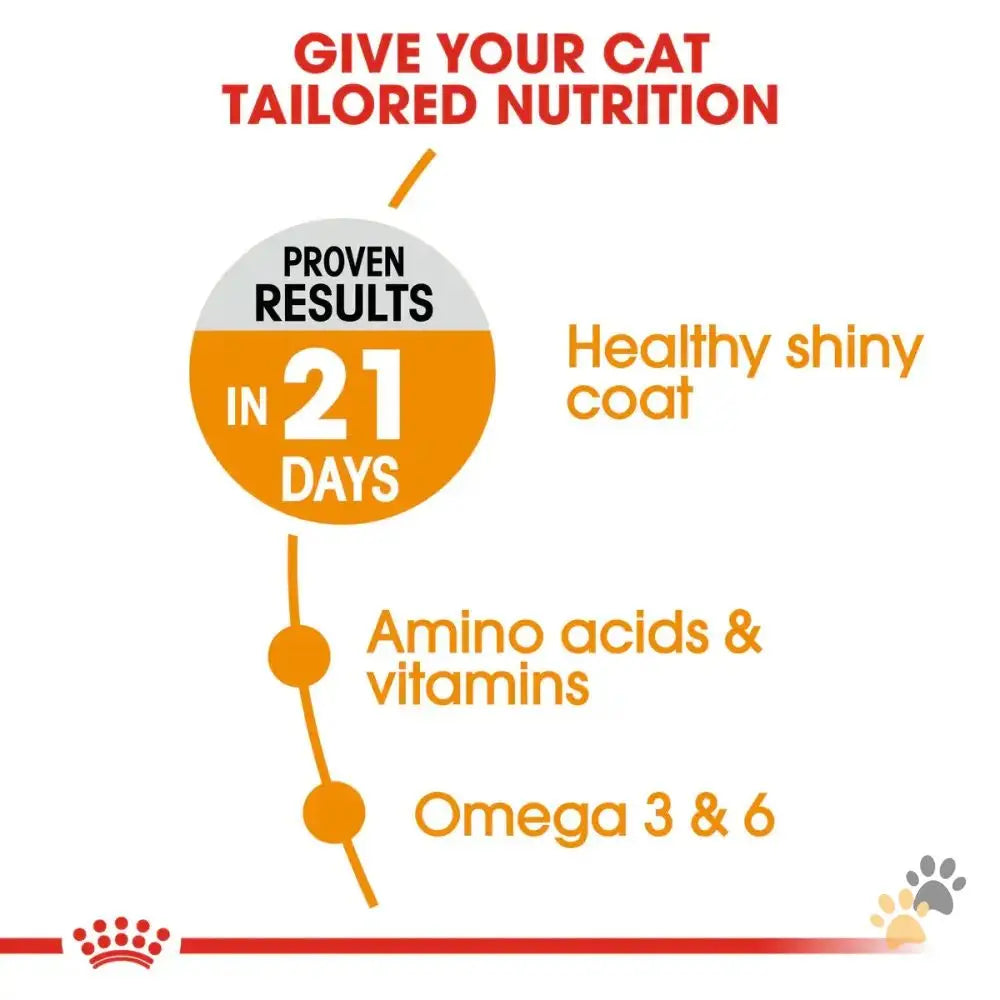 Royal Canin Cat Dry Food Hair & Skin - Cat Food