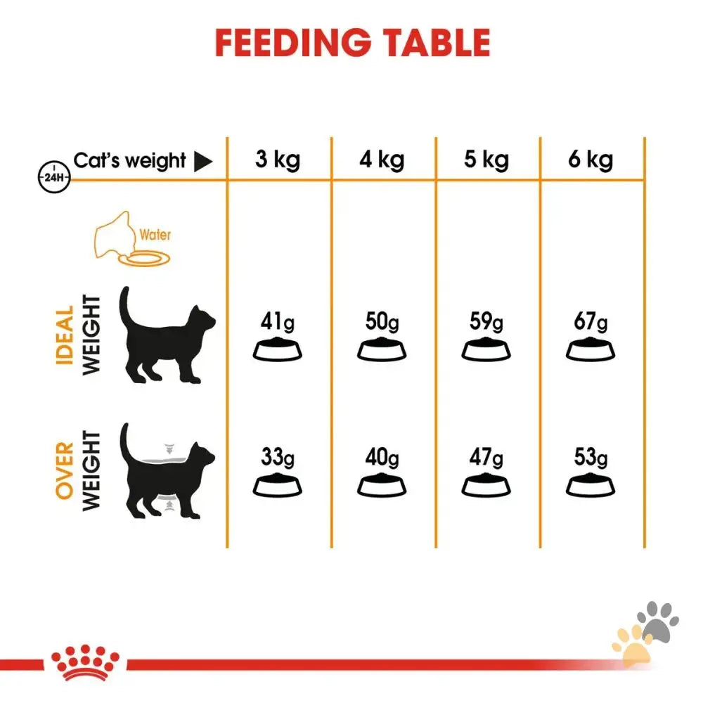 Royal Canin Cat Dry Food Hair & Skin - Cat Food