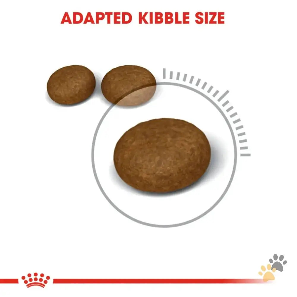 Royal Canin Cat Dry Food Hair & Skin - Cat Food