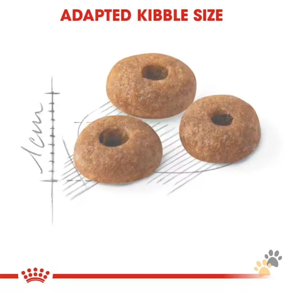 Royal Canin Dry Cat Food Fit 32 - Cat Food