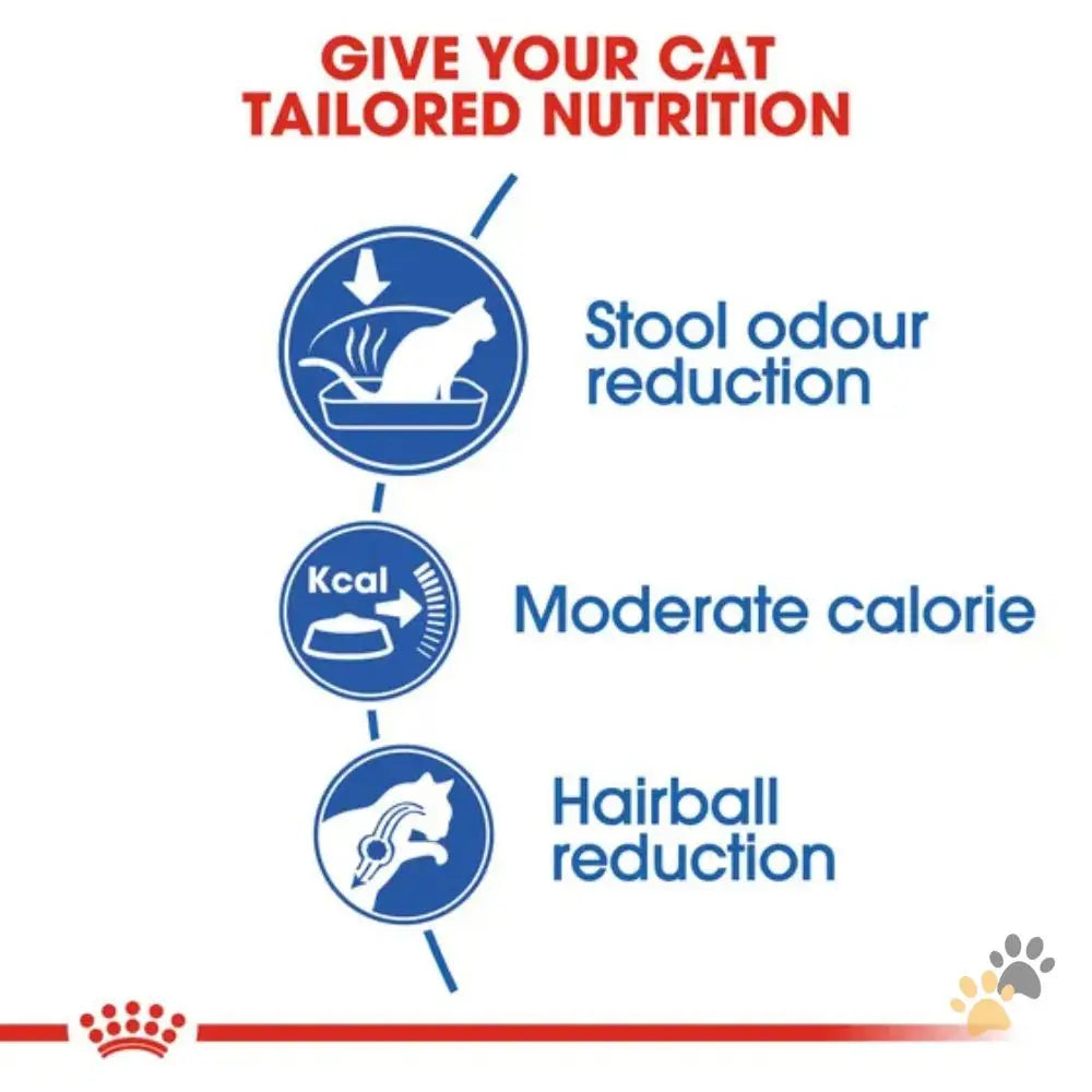 Royal Canin Indoor Dry Cat Food - Cat Food