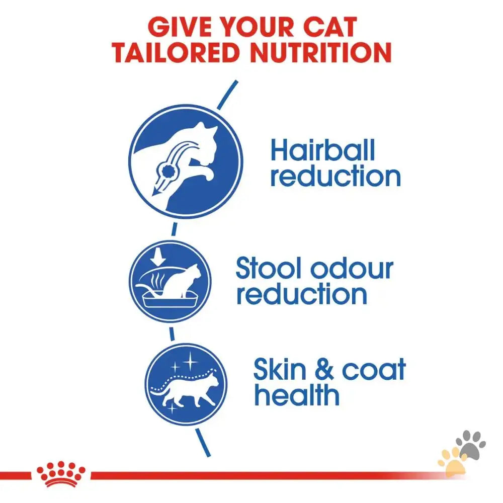 Royal Canin Indoor Long Hair 2 Kg - 2 Kg / Adult - Cat Food