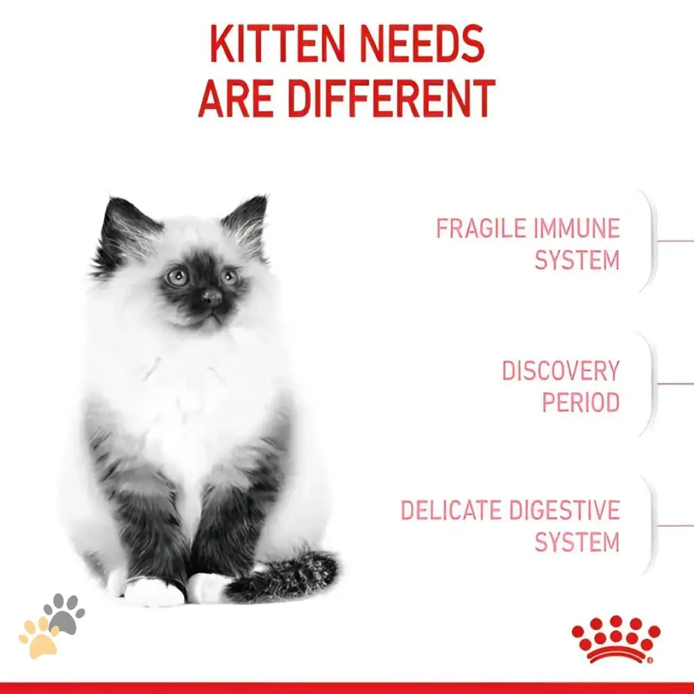 Royal Canin Kitten Dry Food - Cat Food