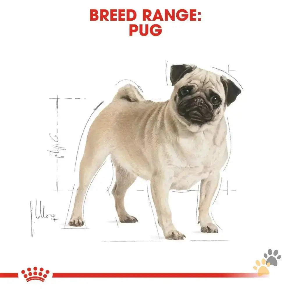Royal Canin Pug Adult - Dog Food