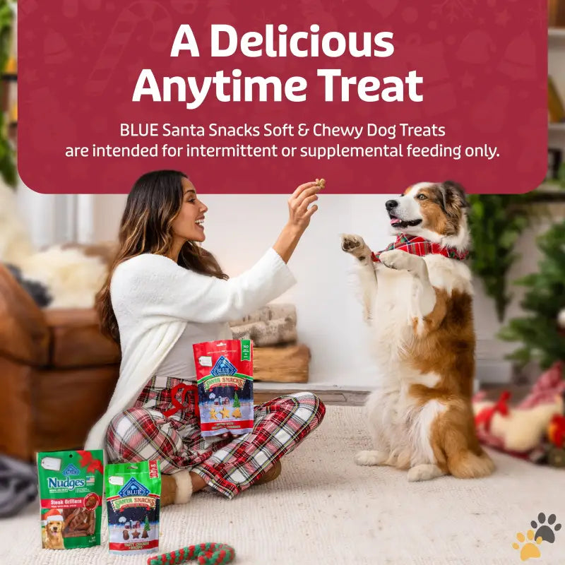 Blue Santa Snacks Dog Treats - 1 - Santa Snacks Soft-moist Holiday Dog Bits for Training Chicken 4.5-oz. Bag