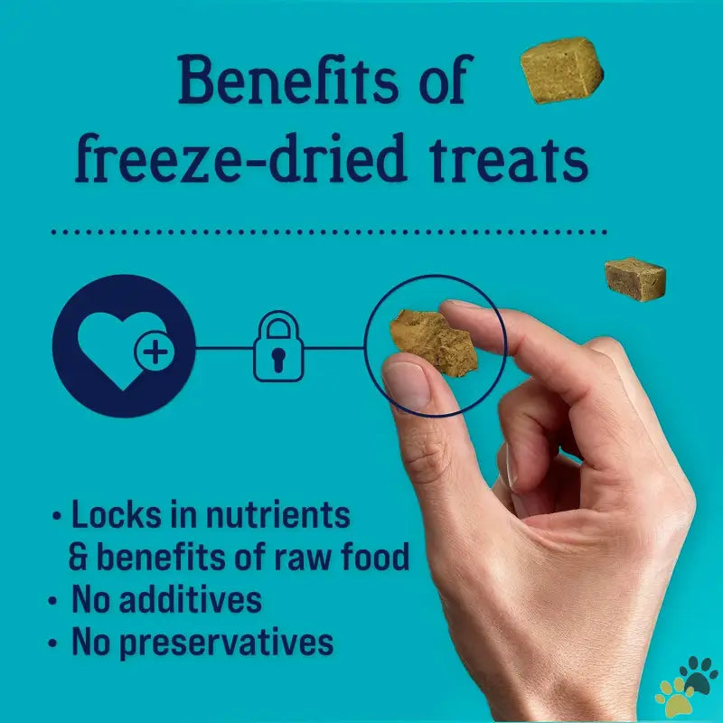 Dayton Freeze Dried Dog Treats - Chicken Liver / 1.5 Ounce (pack of 1) - Single Ingredient Freeze Dried Raw Dog Treats