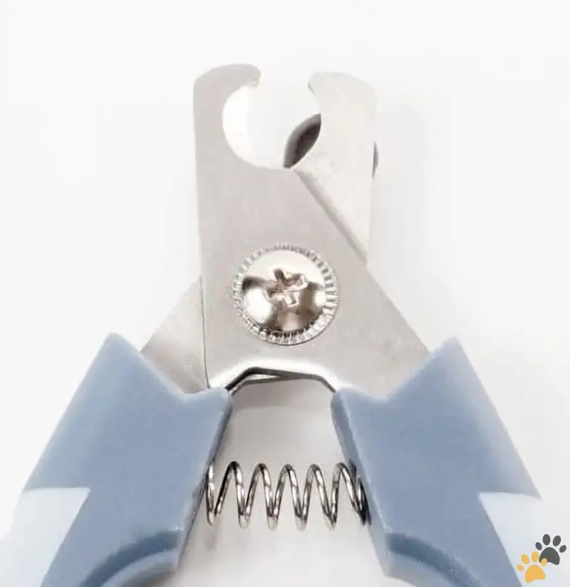 Vibrant Life Small Dog Nail Clippers - Small Dog Nail Clipper.