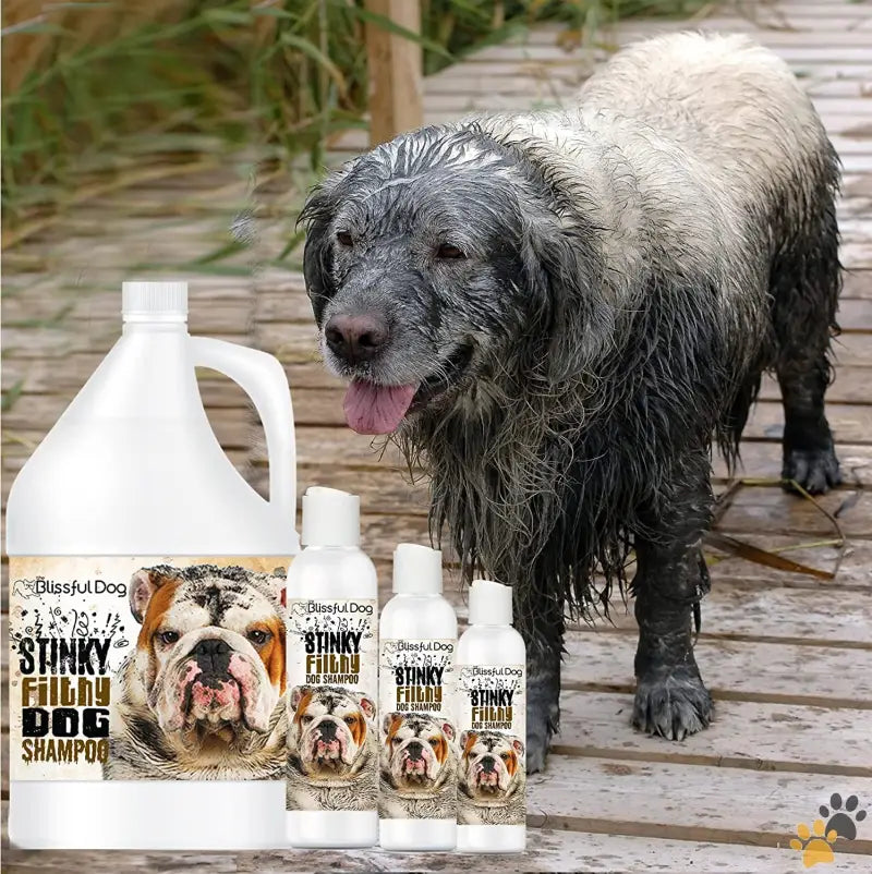 Dog Shampoo Deep Clean Deodorizer - 16-ounce - Stinky Filthy Dog Shampoo 16 Oz