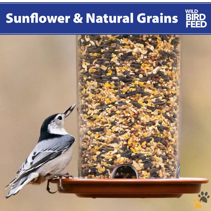 Natural Grains Wild Bird Feed - 5 Lbs - Sunflower & Natural Grains Wild Bird Feed 5 Lb.