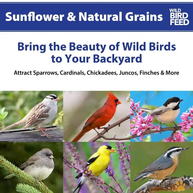 Natural Grains Wild Bird Feed - 5 Lbs - Sunflower & Natural Grains Wild Bird Feed 5 Lb.