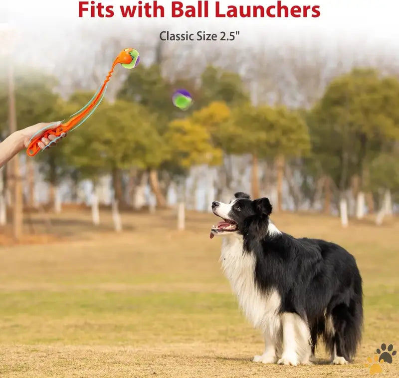 Safe Dog Balls Tennis Balls Dog Toys - Tennis Balls for Dogs Squeaky Dog Tennis Balls for Exercise High Bouncy Dog