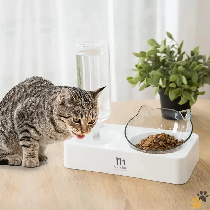 Marchul Tilted Cat Food Bowl - Cat Bowl with Mat - Tilted Cat Food Bowl with Feeding Mat for Food and Water Food