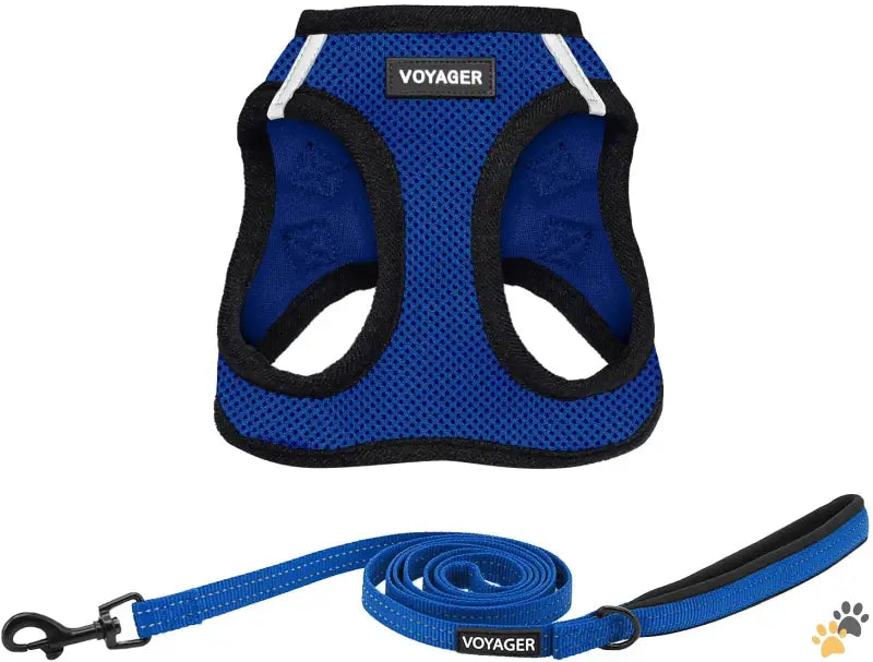 Weather Mesh Pet Harness Size Guide - Leash Harness Set (royal Blue Base) / Xxs (chest: 11.5 - 13’’ * Fit Cats)