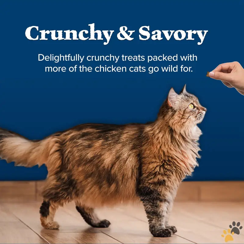 Blue Wilderness Crunchy Dry Cat Treats - Wilderness Crunchy Dry Cat Treats Natural & Grain-free Chicken 12-oz. Tub.