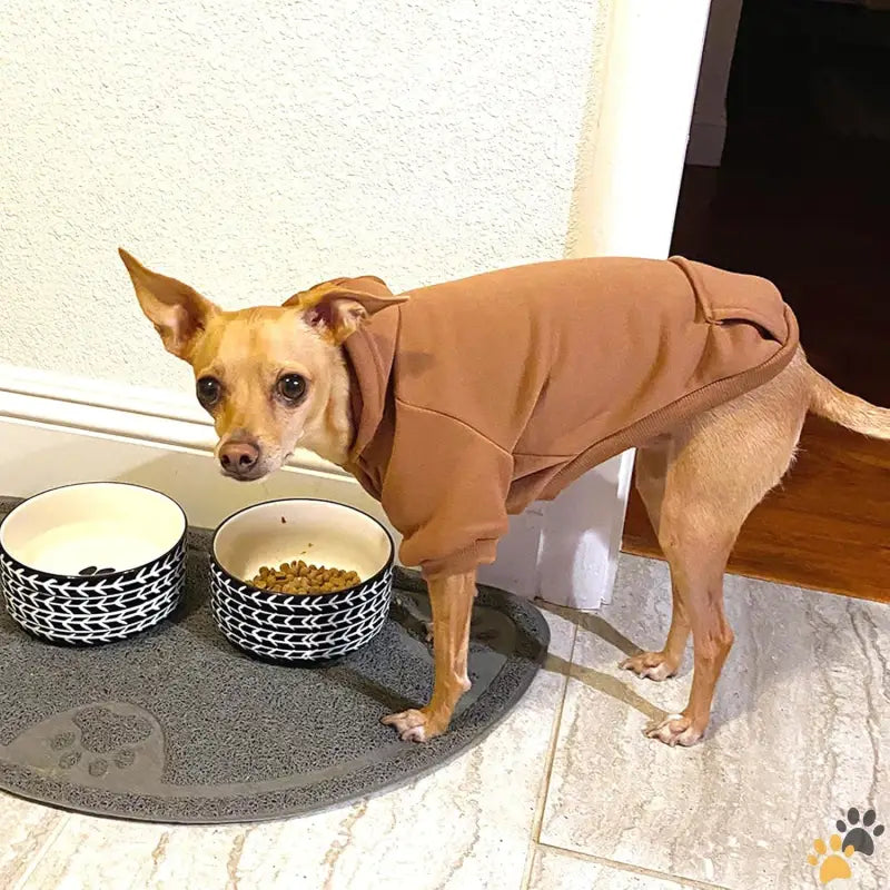 Cozy Dog Hoodie Sweatshirts - Coffee / Xx-small - Winter Hoodie Sweatshirts with Pockets Warm Clothes for Small Dogs